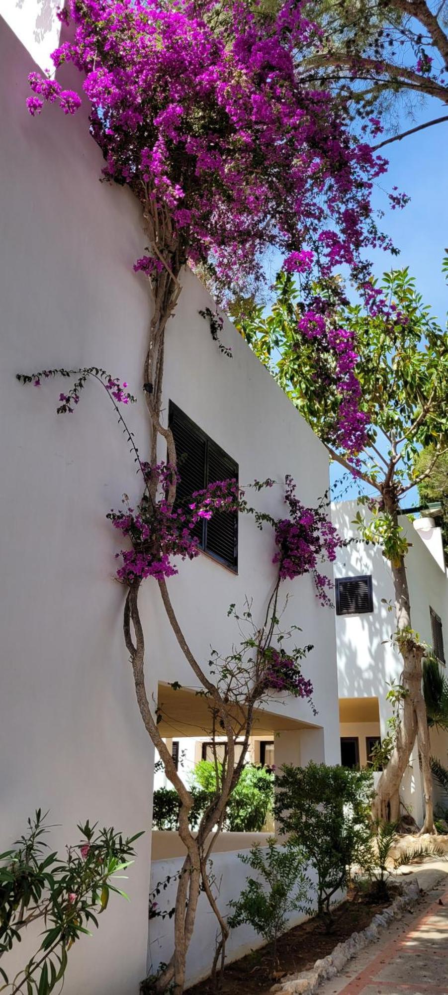 Club Cala Azul Hotel Cala Llenya Kültér fotó