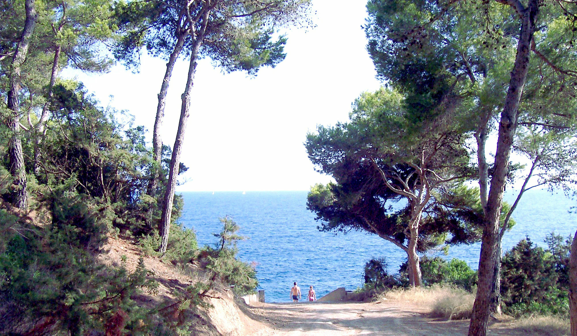Club Cala Azul Hotel Cala Llenya Kültér fotó